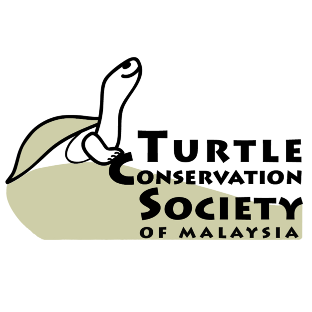 Turtle Tales by TCS