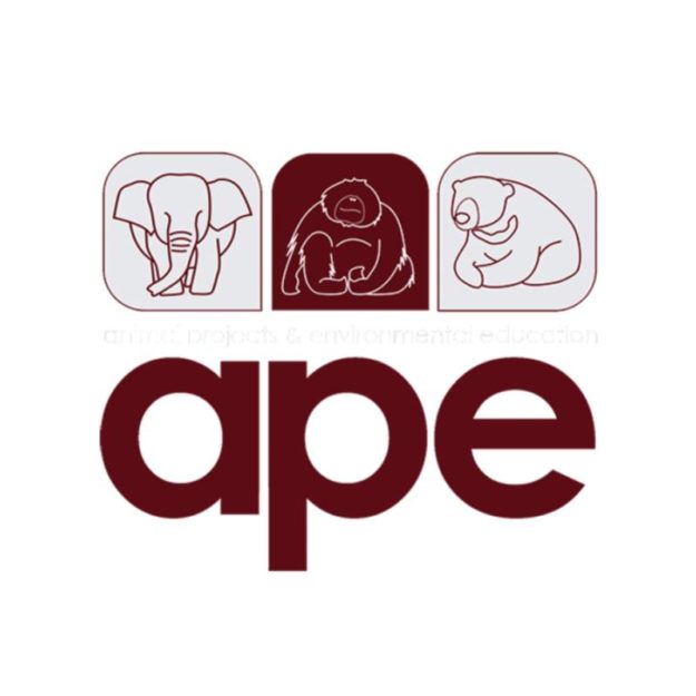 Ape Malaysia