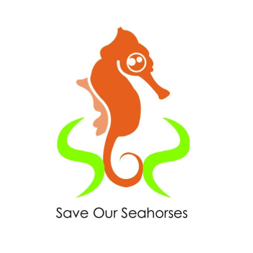 SaveOurSeahorses
