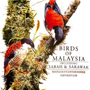 Birds of Malaysia - The Art of Choo Beng Teong (Non-limited edition 2nd print 2025)