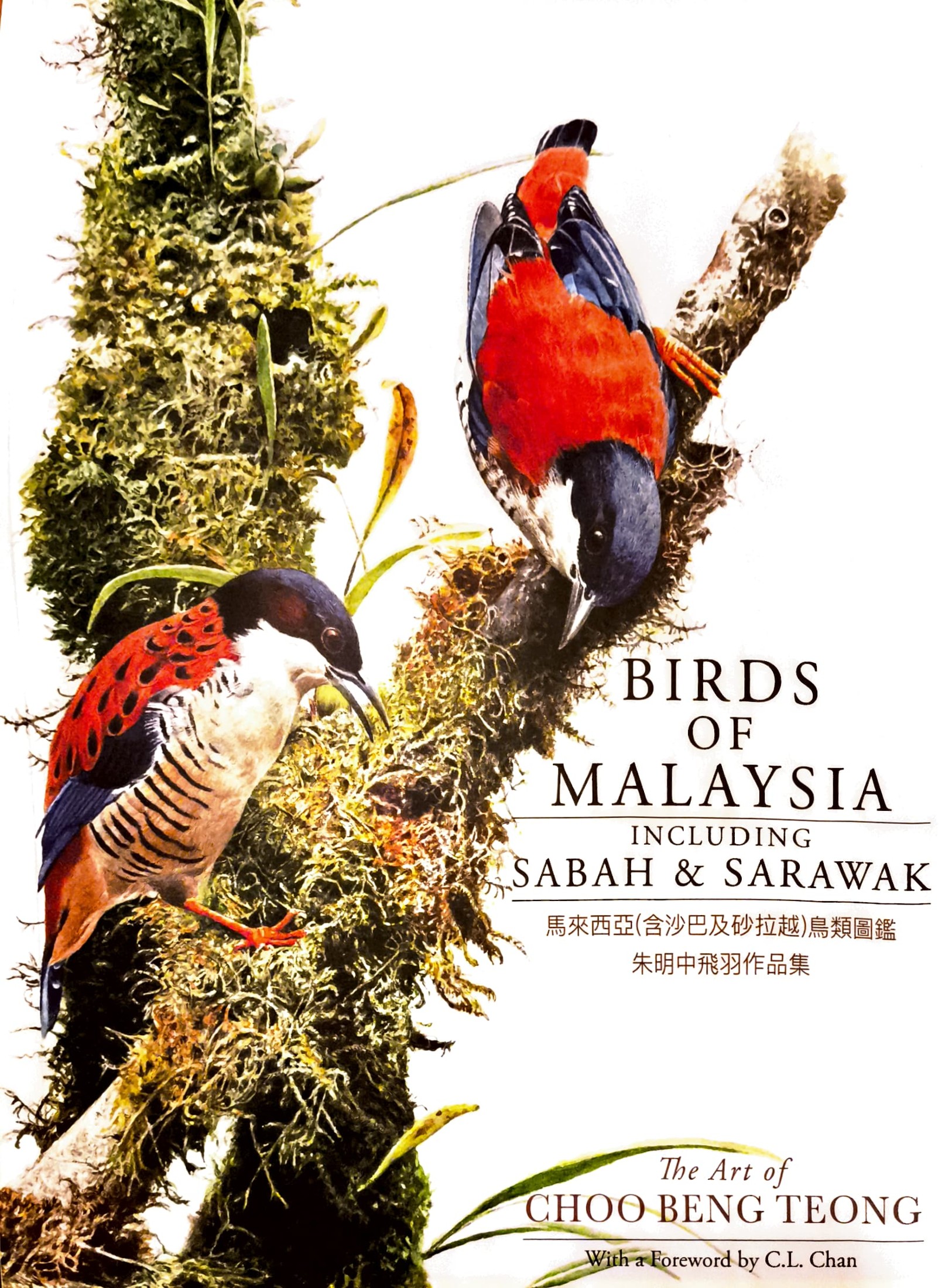 Birds of Malaysia - The Art of Choo Beng Teong (Non-limited edition 2nd print 2025)