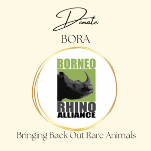 Donate to Borneo Rhino Alliance